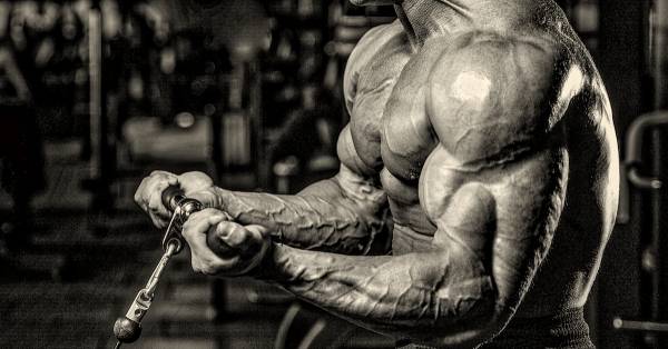 What Science Has to Say About Building Muscle | Breaking Muscle