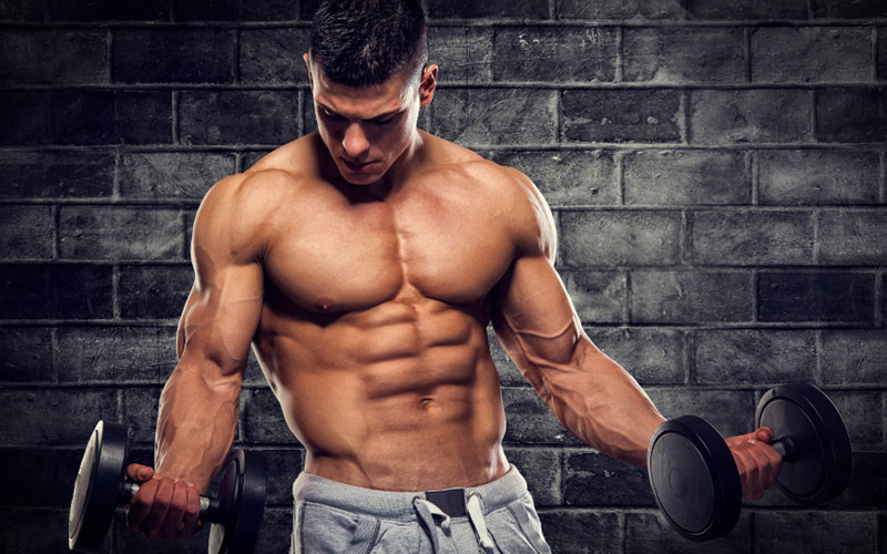 Training Vs Nutrition – Which is more important for muscle growth?